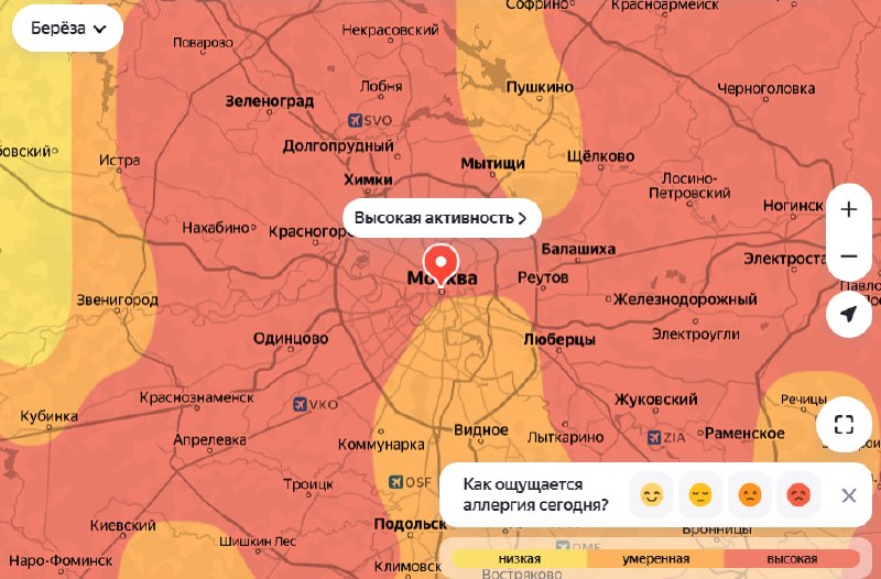 Упс, ад для аллергиков уже начался в Москве и Подмосковье — в регионе зацвела берёза. Врачи советуют