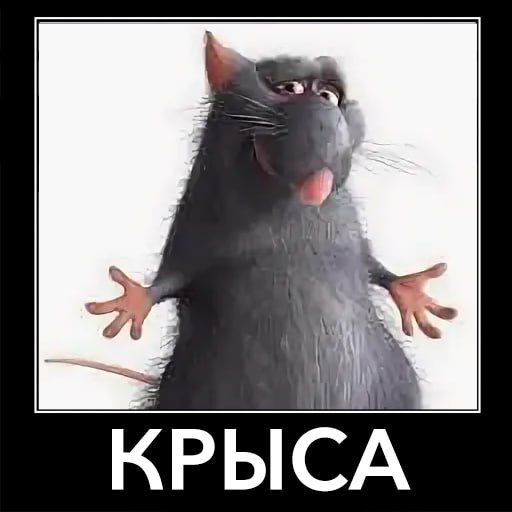 Девочки: Знакомься, это Света, Марина, Вика
Парни: