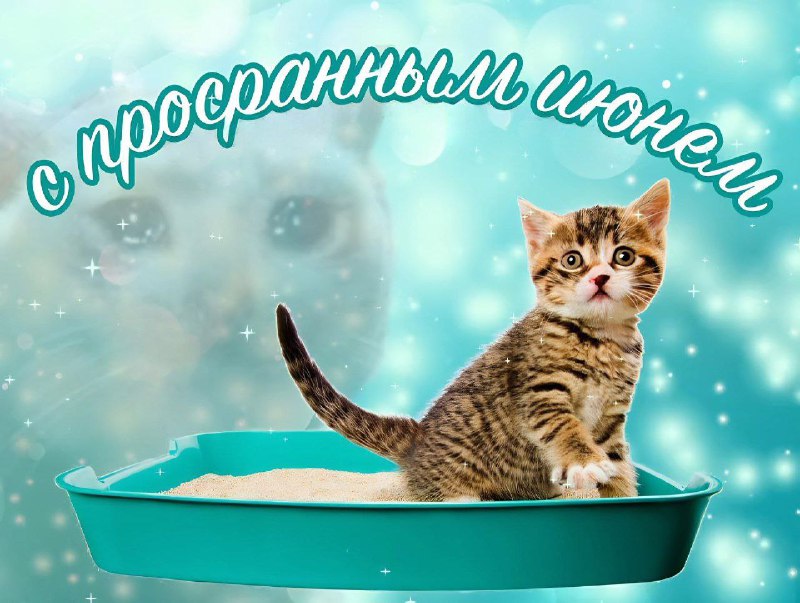 Сегодня отмечается день просранного июня