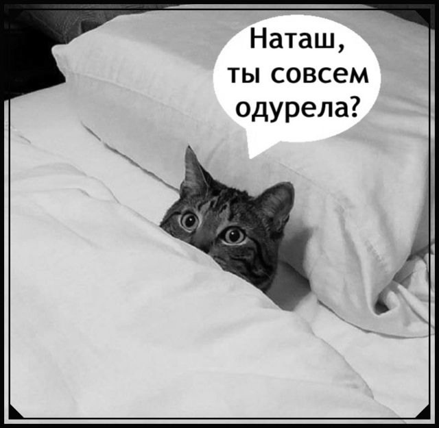 Хозяина разбудили.