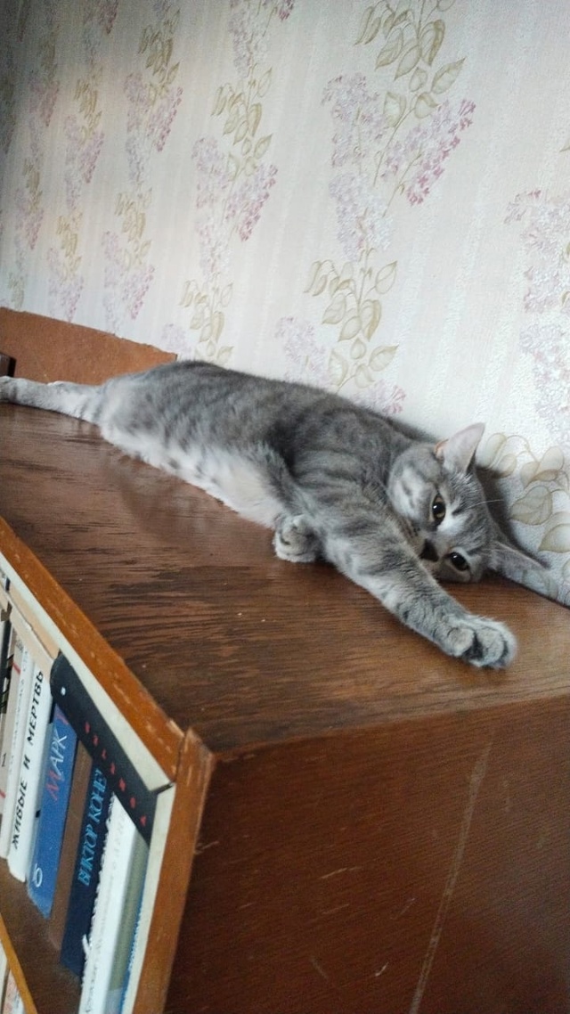 Воронеж, нужна помощь.
Утро 15 июля выдалось для Вороне?...