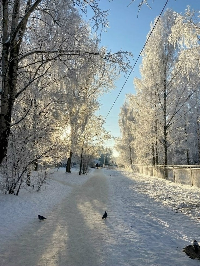 совсем скоро ты ляжешь спать осенним вечером, а просне?...