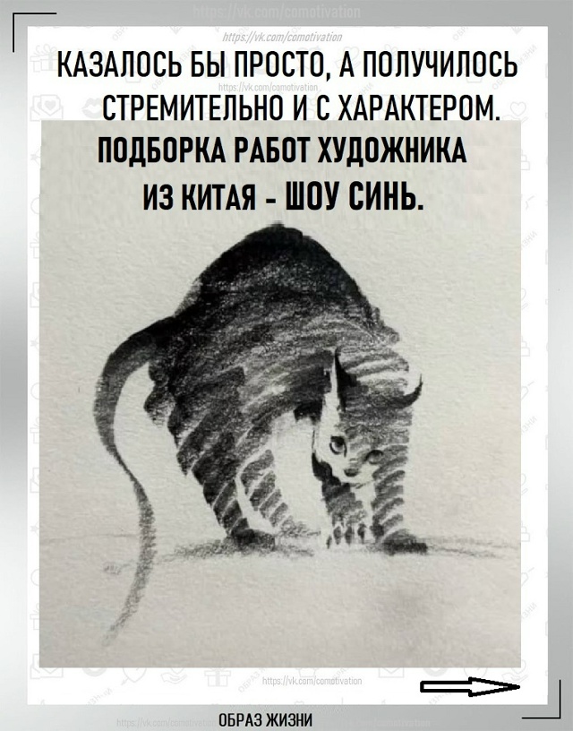 Вот такая милота. Ну куда же без кота.