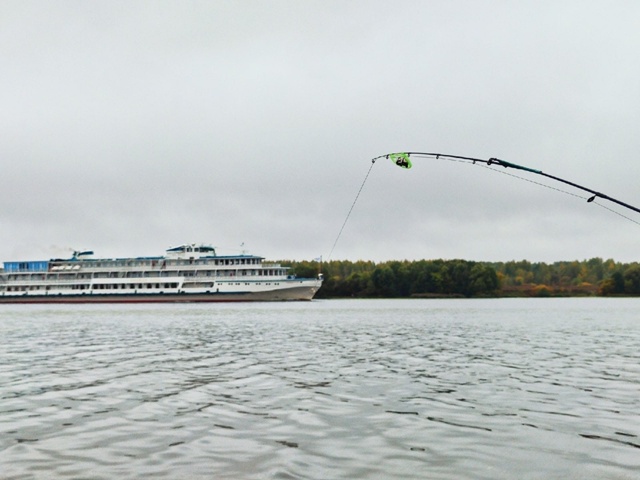 Кто куда в дождливую погоду, кому грибы или дома отдохн...