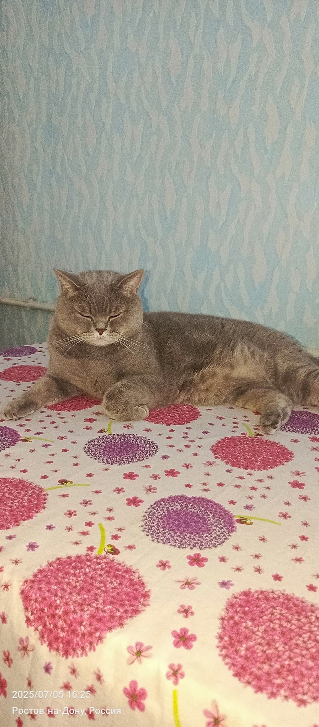 Пупсик ❤️ уже 6 лет радует каждый день своей красотой ?...