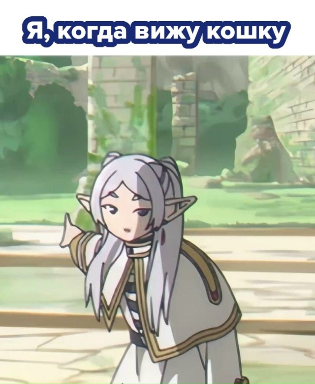 #мемы@anime