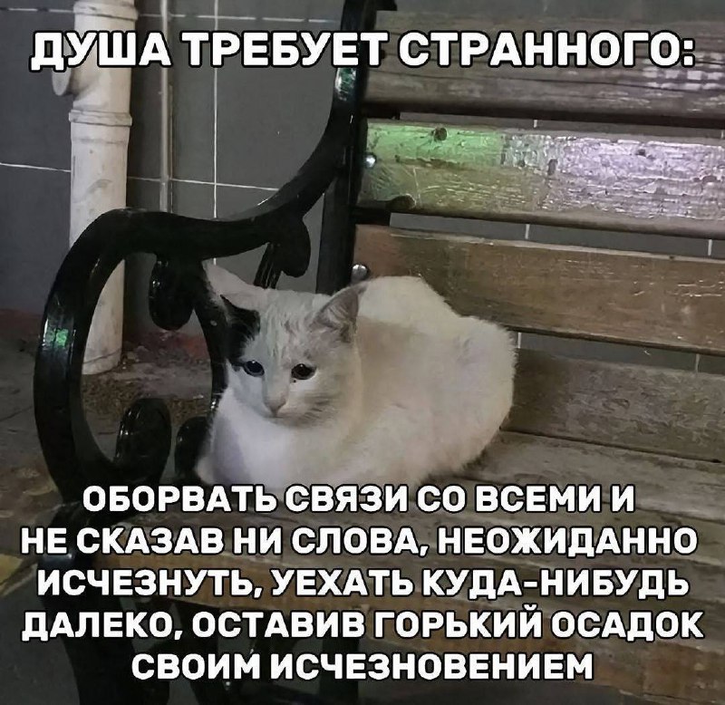 Утренняя подборочка