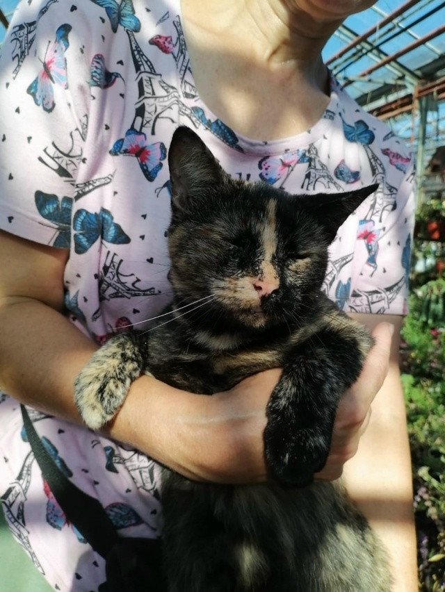 💛Трёхцветное счастье в ожидании своей семьи!🖤
Крас...