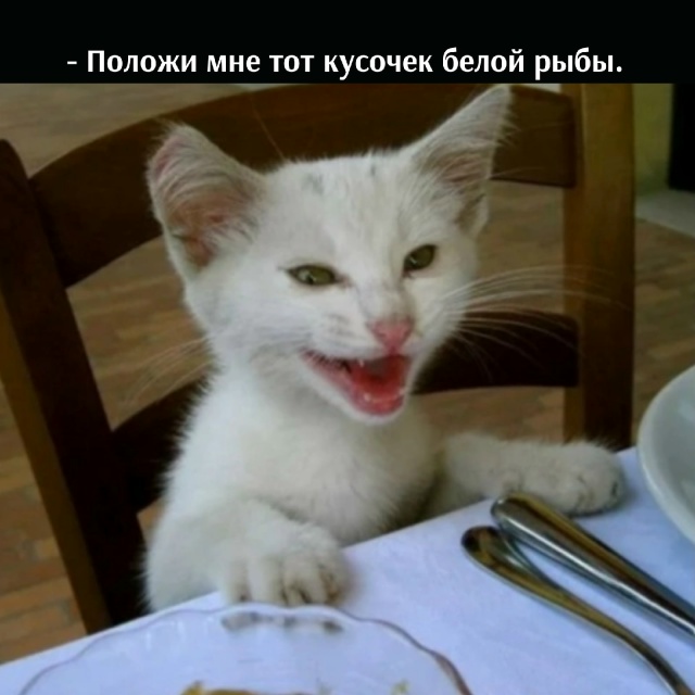 😂😂😂