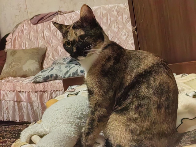 Всем доброго времени суток!
Недалеко от художественно...