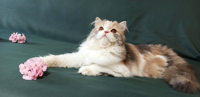 Наша прирожденная фотомодель, наша маленькая принцесс...