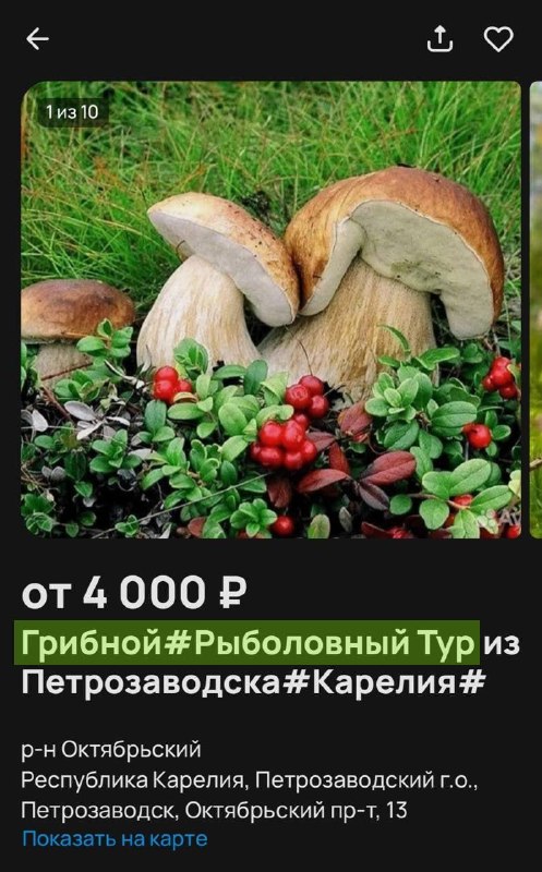 Грибные туры стали новым трендом у россиян — спрос на такие поездки за год вырос в полтора раза.
Т