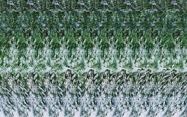 Стереограммы: тренировка для глаз ?✨
Эти загадочные ?...