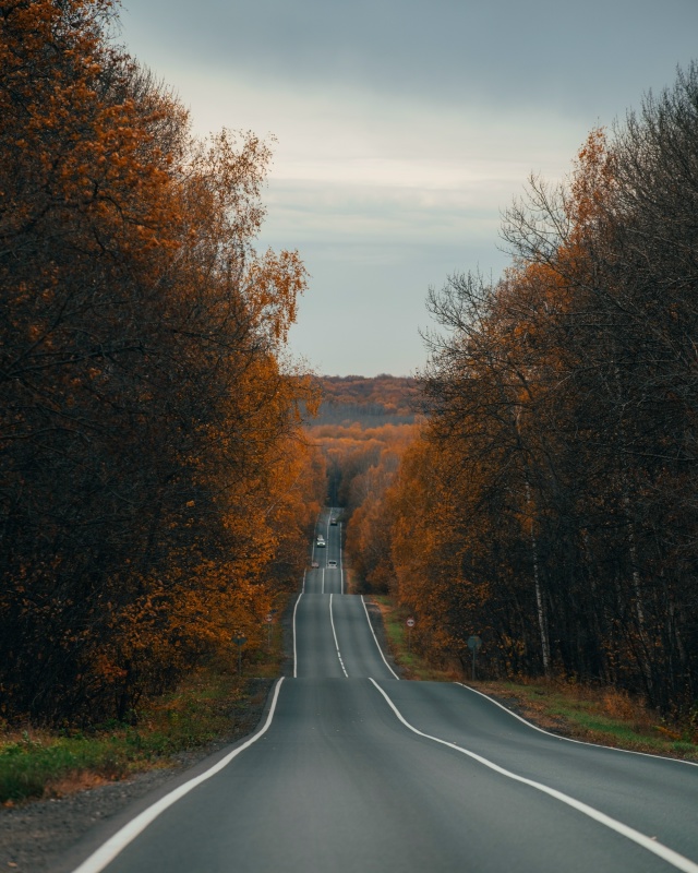 Дорога на Ширяево, Самарская Лука
Фото: [id3305323|Вадимммм...