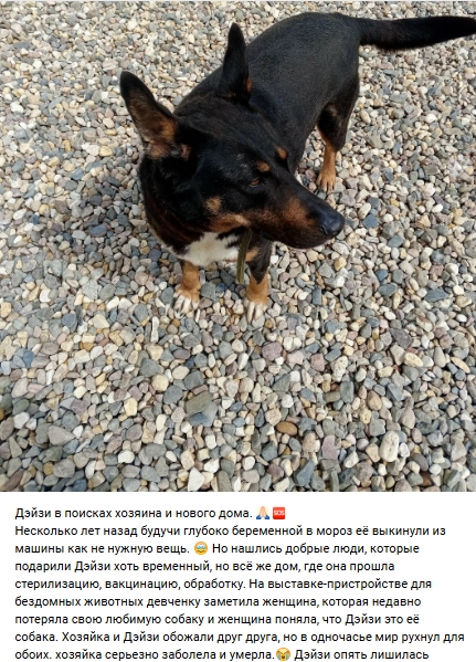 Пост добра. Распространите, пожалуйста.
уважаемые жит...