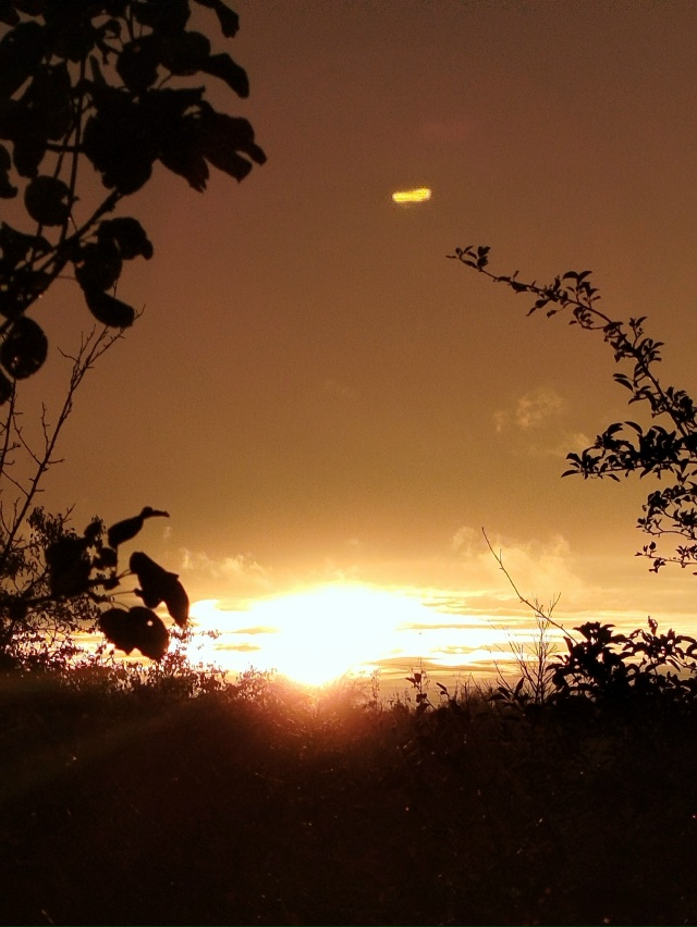 Закат сегодня...