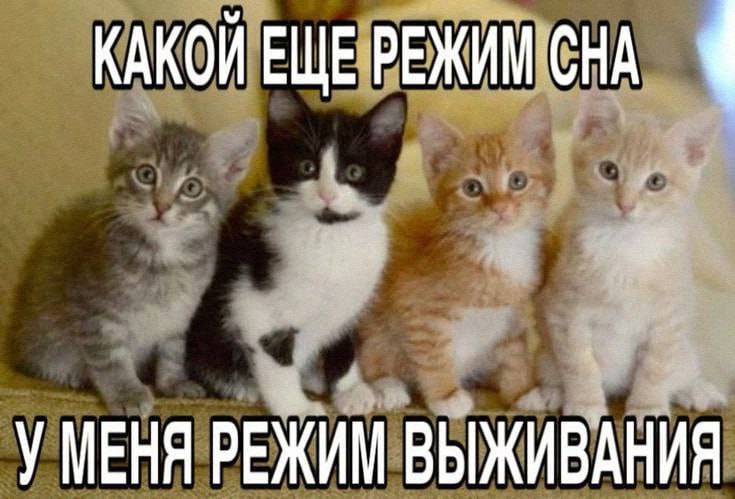 Утренняя подборочка