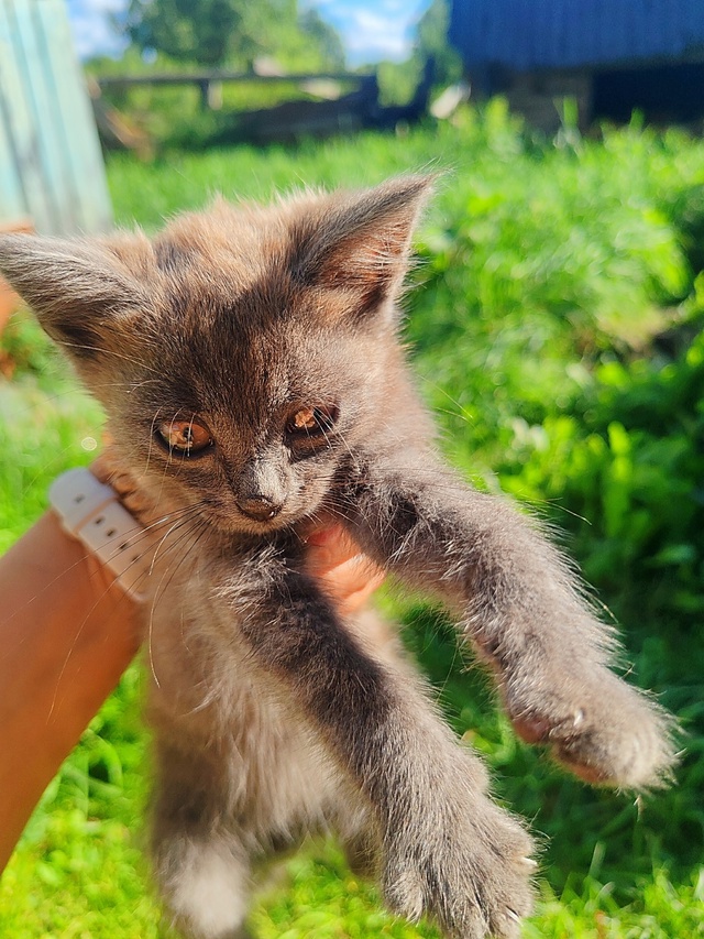 Здравствуйте! Разместите, пожалуйста 🙏
7 замечательны...