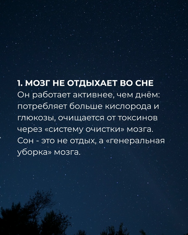 Сон — это не отдых, а генеральная уборка мозга. Недосып...