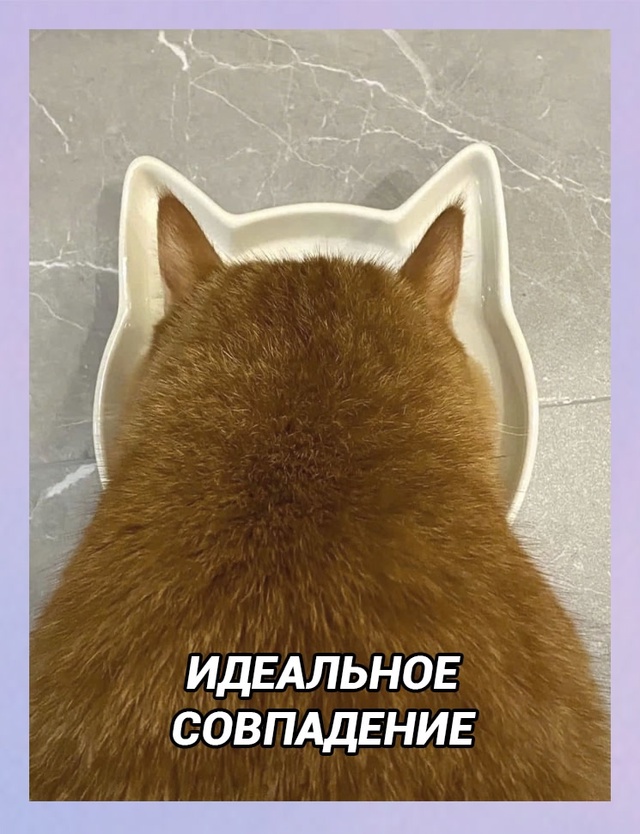 Мы тоже друг другу идеально подходим: