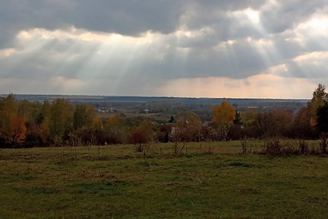 Погода в Тамбове на выходных подарит все виды дождя
Ка...