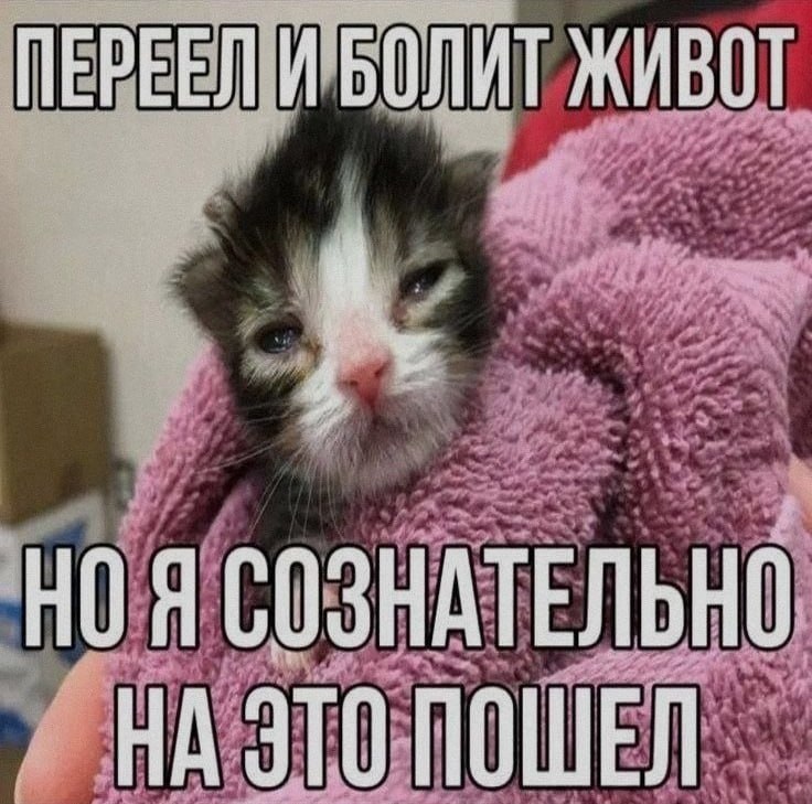 Ночная подборочка
Спать, режим