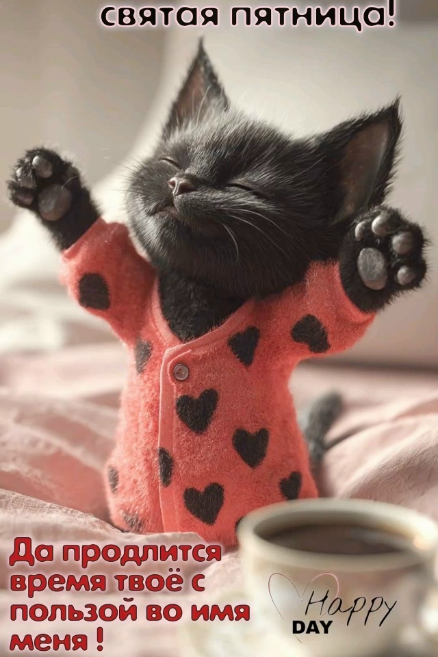 🌅 ДОБРОЕ УТРО, НАРЬЯН-МАР! ПЯТНИЦА УЖЕ ЗДЕСЬ
За окном ?...