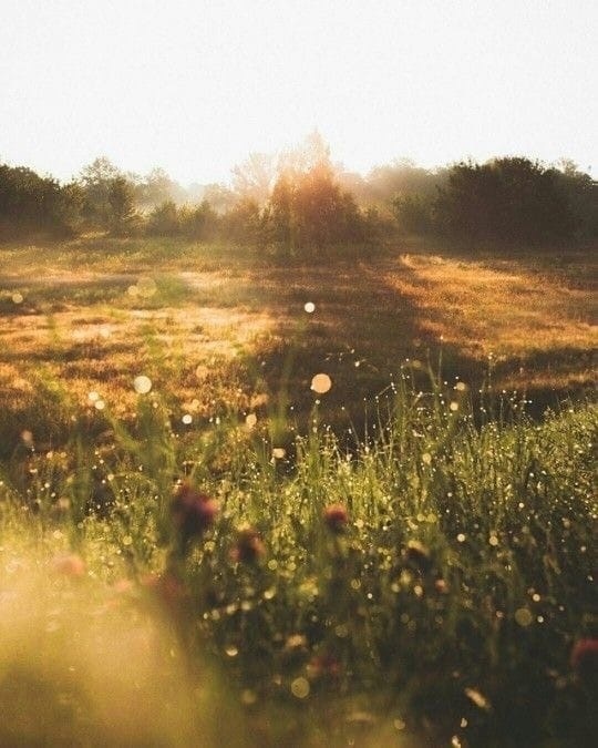 мне кажется, что как-то слишком быстро уходит лето.
мо...