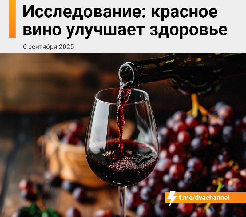 Красное вино полезно для здоровья — это подтвердили учёные в крупном исследовании
В одном бокале мн
