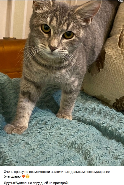 Пост добра. Распространите, пожалуйста.