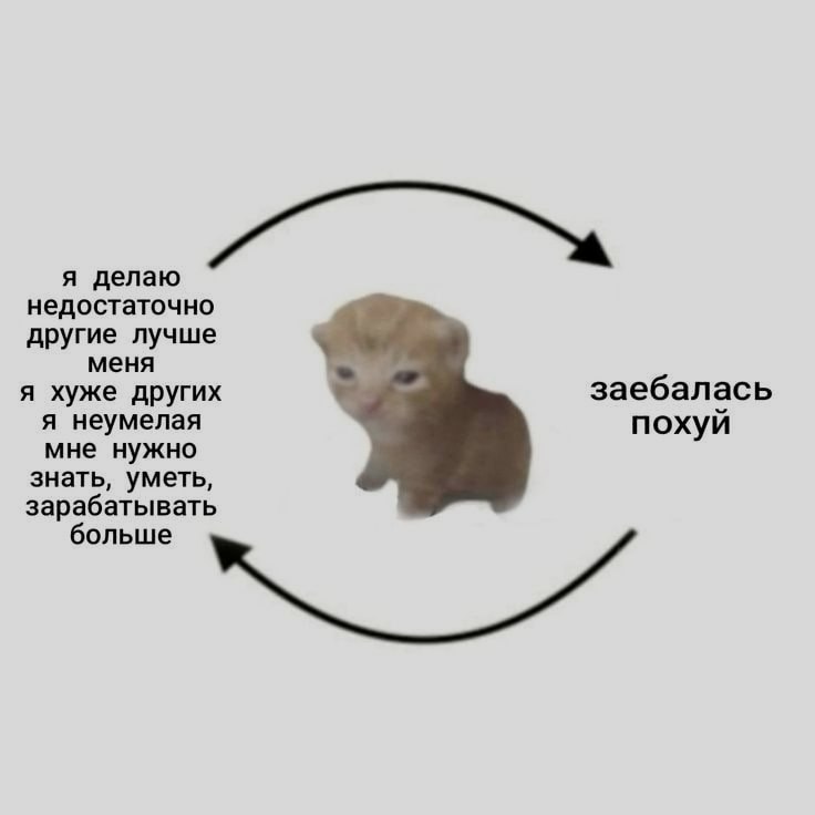 Ночная подборочка
Спать, режим