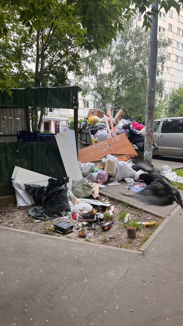 Снова печальная ситуация с мусором, но теперь моё мнен?...