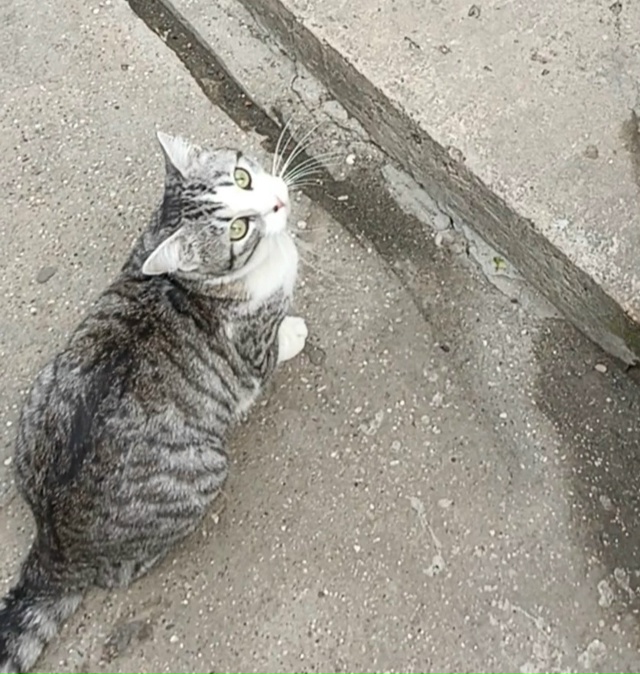 03.12.2025 ночью, в районе Слободки (проживает ул. Средняя, 35...