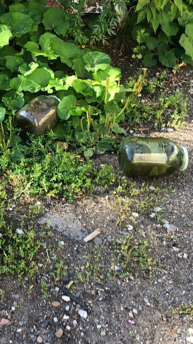 Лишнего насолили.