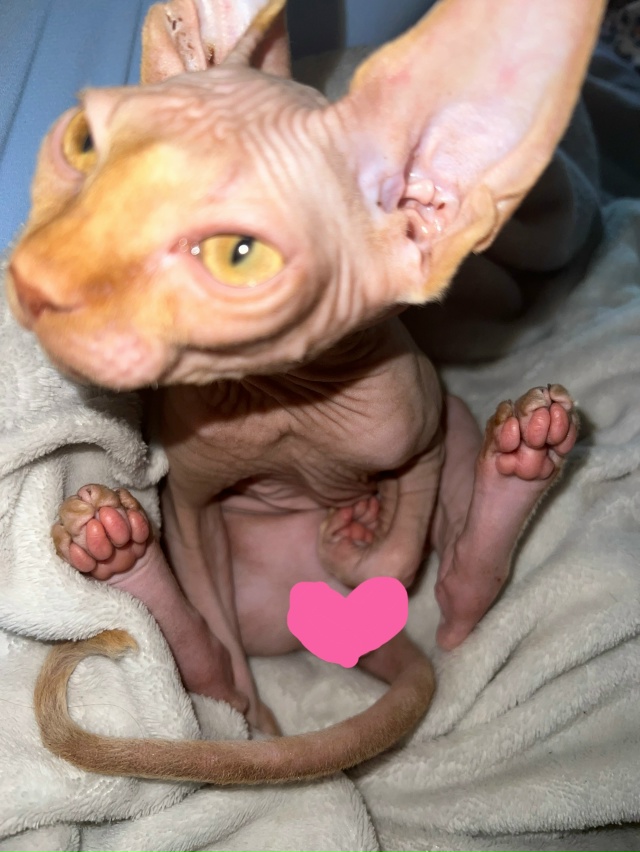 Совсем недавно Владимиру миновало 4 месяца.
Про всрато...