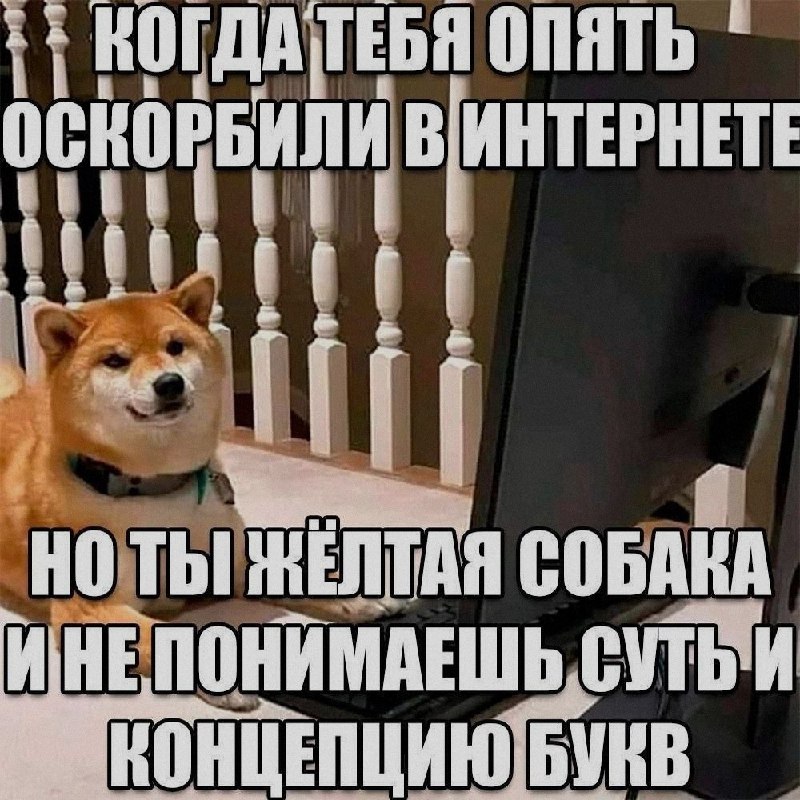 Ночная подборочка
Выходные, не спим
