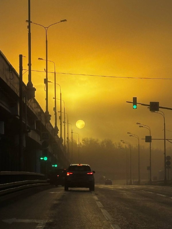 🌫️ «Жёлтый уровень» погодной опасности объявили в Москве из-за тумана МЧС предупреждает об ухудшен
