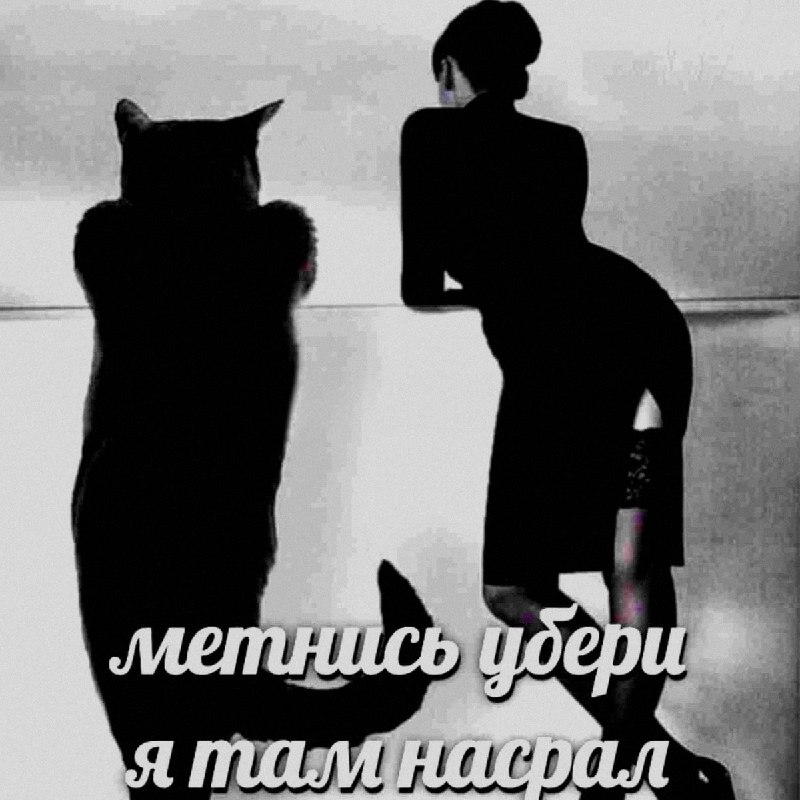 Ночная подборочка
Спать, режим