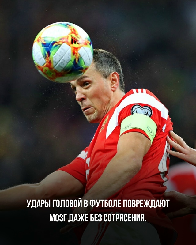 Подборка познавательных фактов.