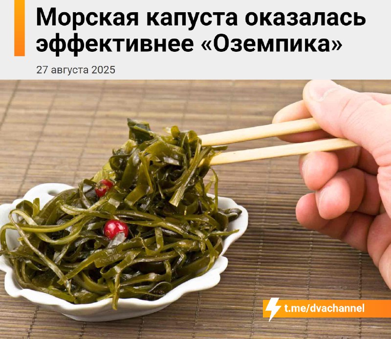 ❗️Морская капуста эффективнее «Оземпика»: жир уходит с ней всего за несколько дней, выяснили исследо