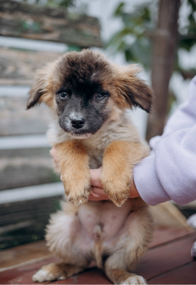 Здравствуйте! Разместите пожалуйста пост 🙏
Очень ище?...