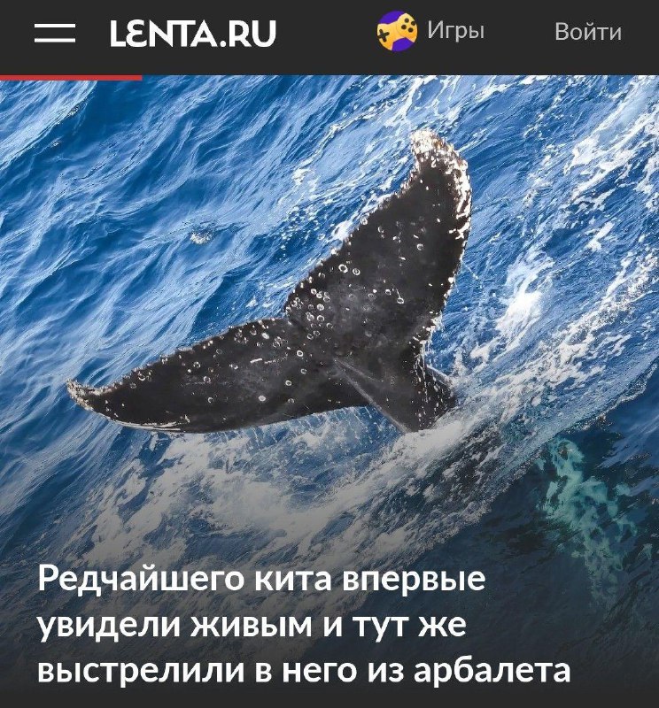 А потому что нехер.