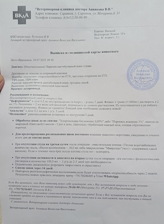 Всем привет 👋
Вчера сбитым животным были проведены оп...