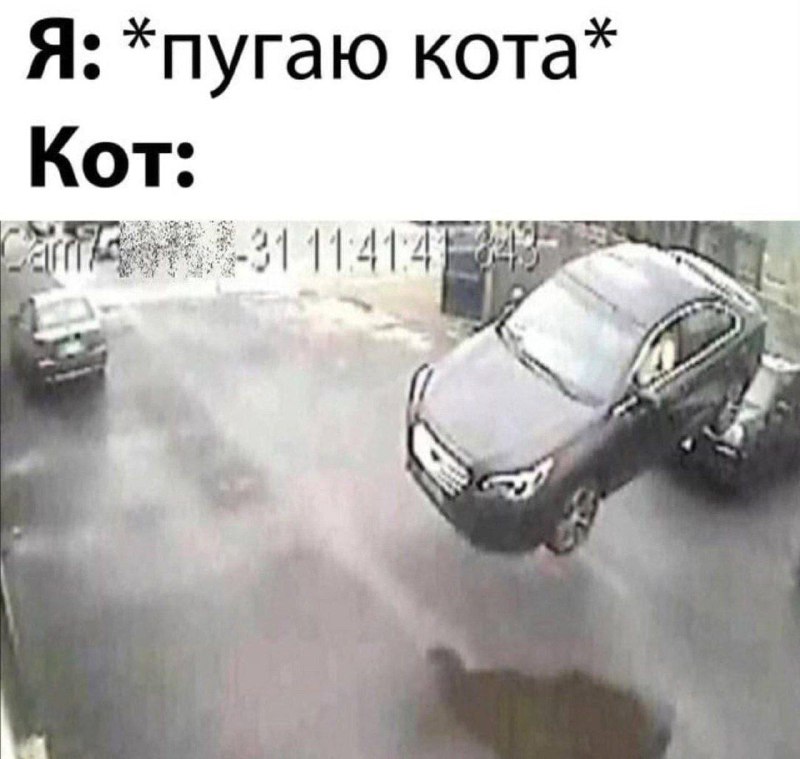 Утренняя подборочка