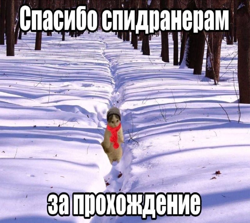 Утренняя подборочка