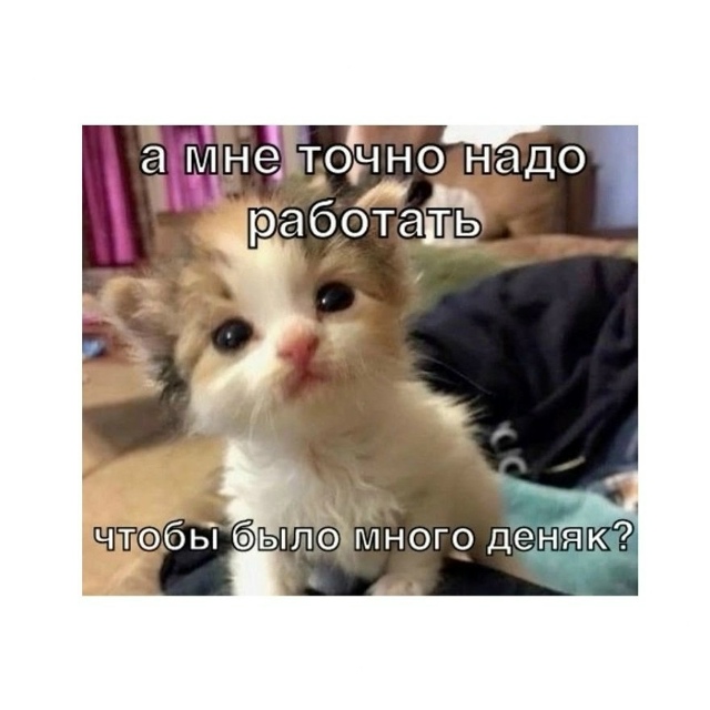 Каждое утро я задаюсь одним и тем же вопросом