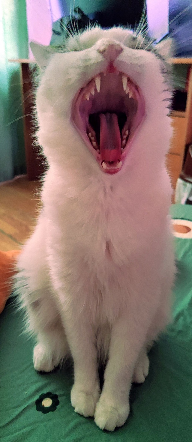 А!