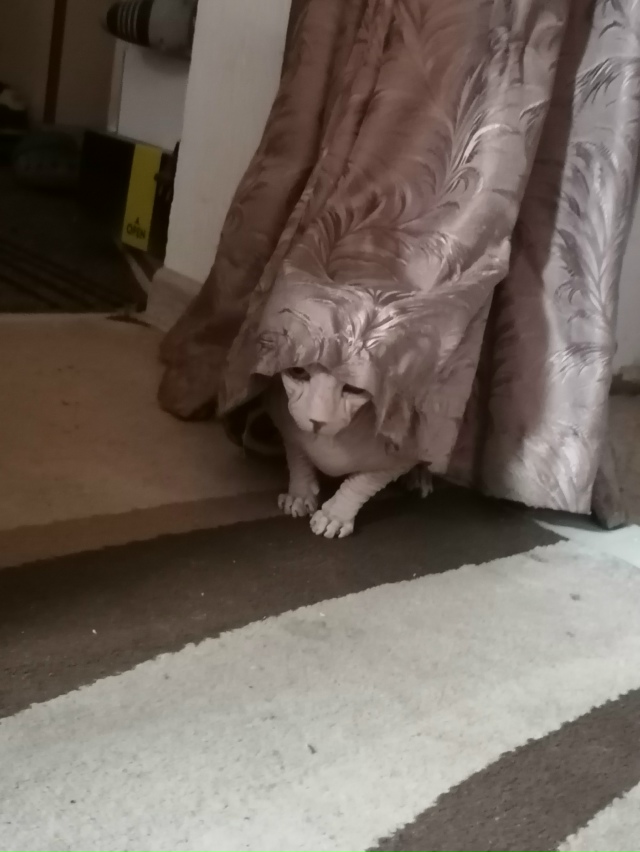 Играет в прятки с нашими пятками