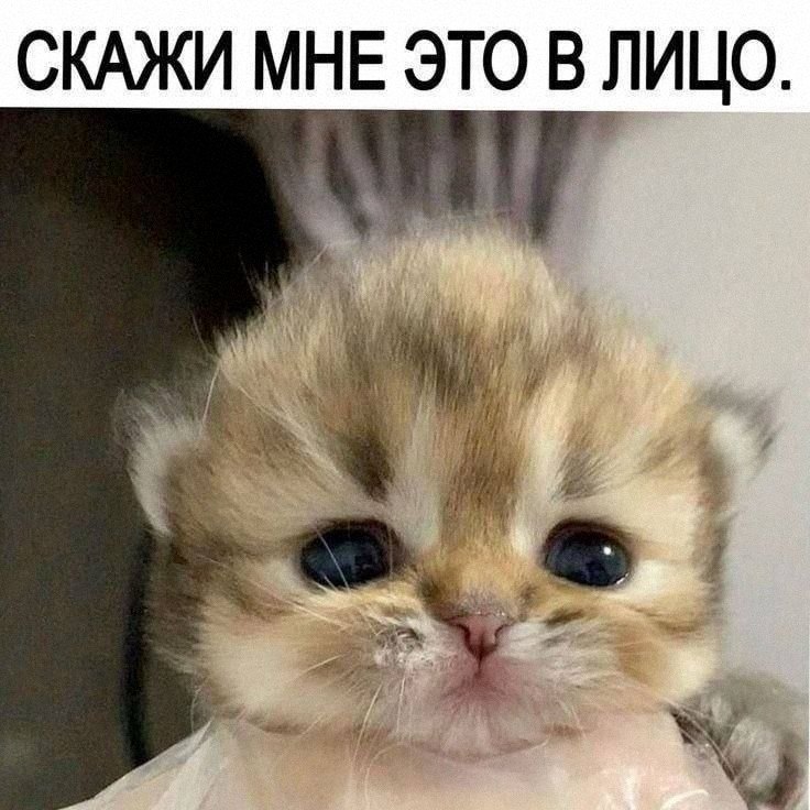 Утренняя подборочка
