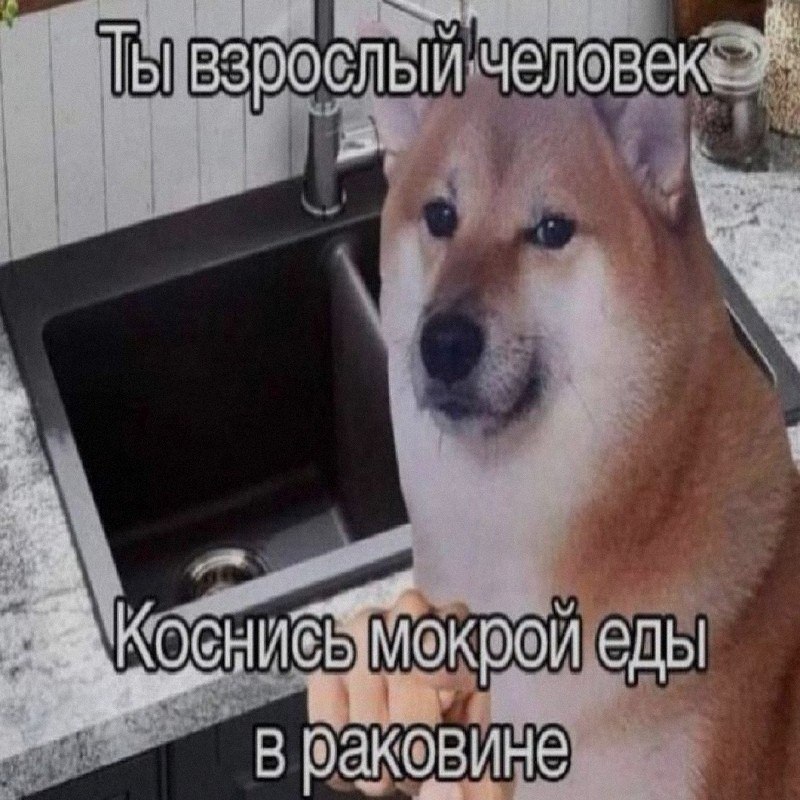 Ночная подборочка
Колобок умрет на 1:24:49